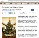 Tree buying guide